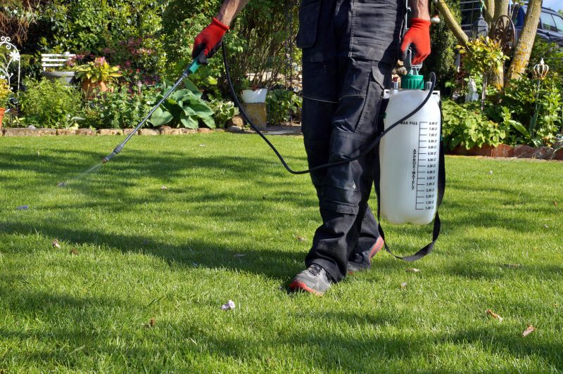 Lawn Insect Spraying