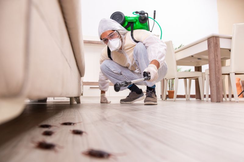 Effective Pest Removal